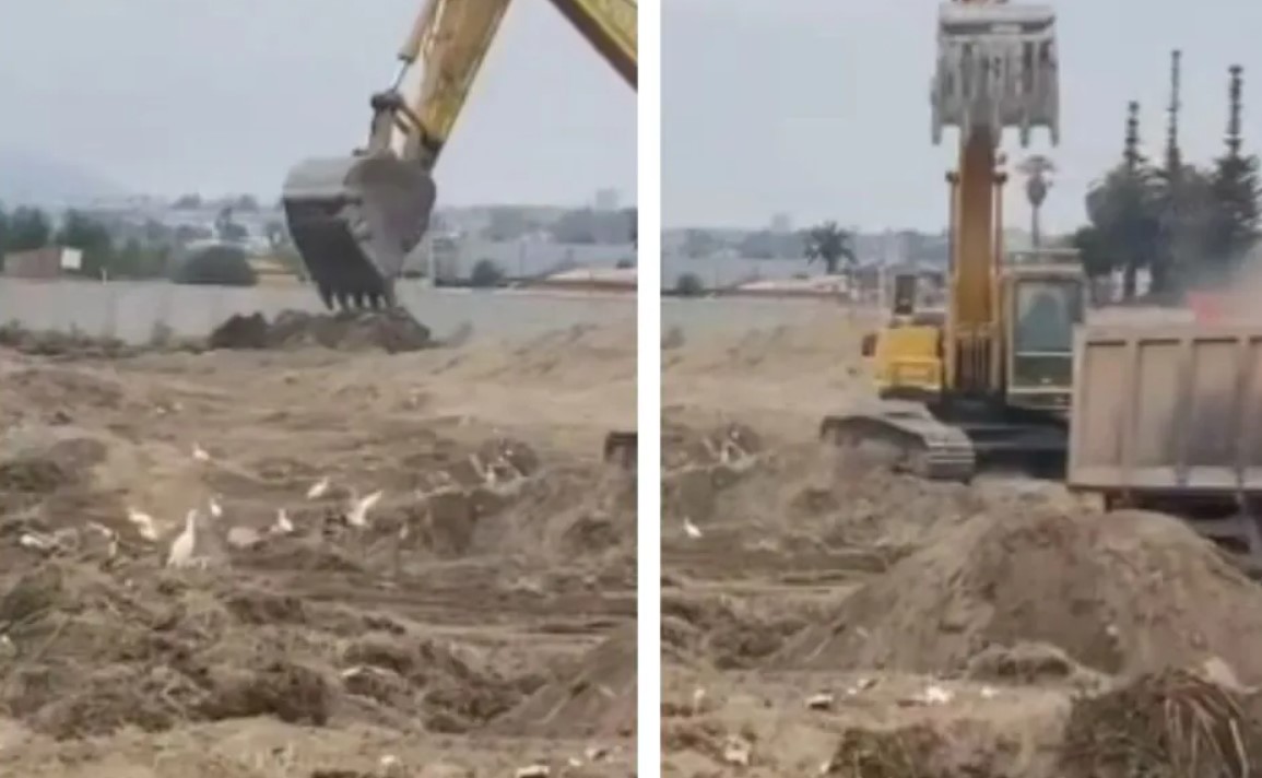 Denuncias en Humedal Quebrada de Peñuelas