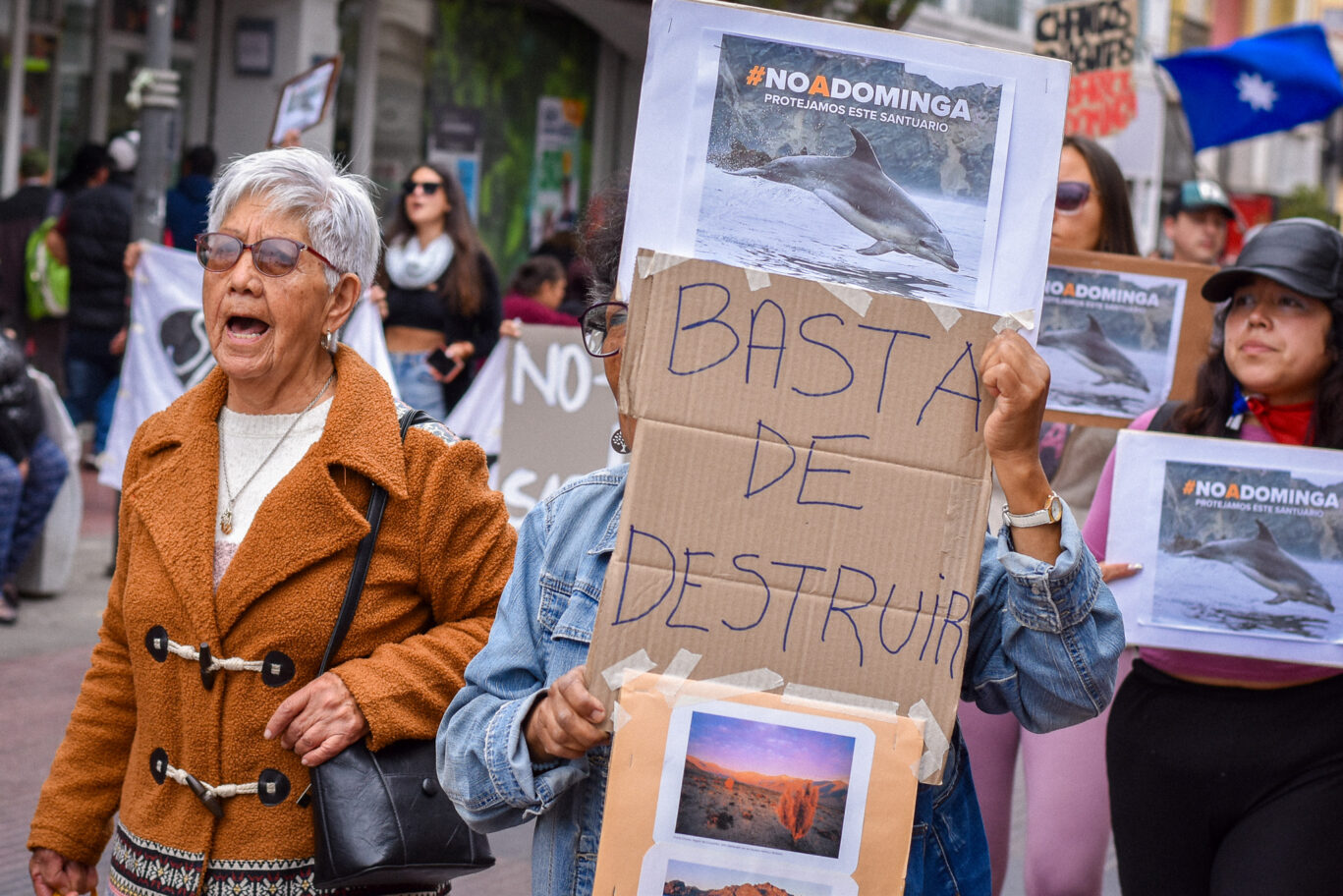 Marcha No A Dominga 20 de diciembre 2024