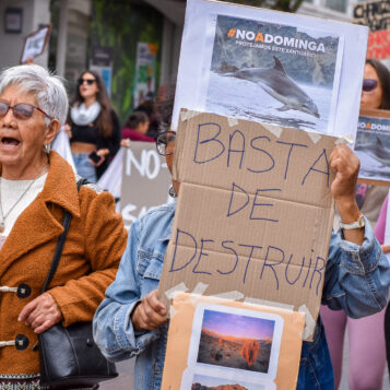 Marcha No A Dominga 20 de diciembre 2024