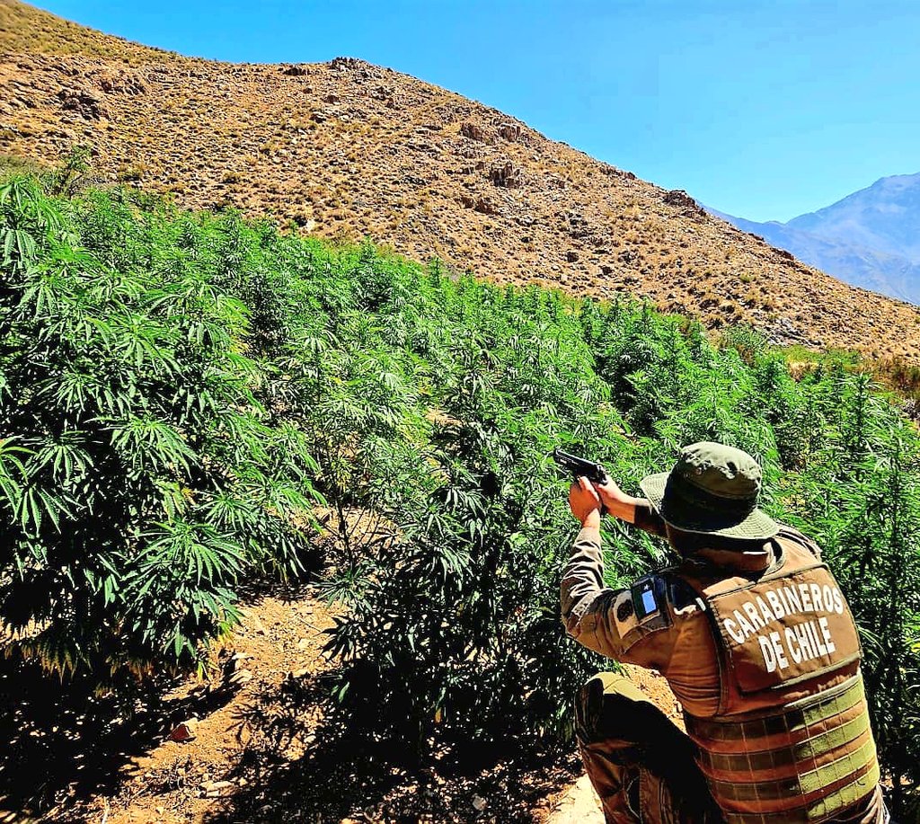 Operativo de Carabineros en Tulahuén
