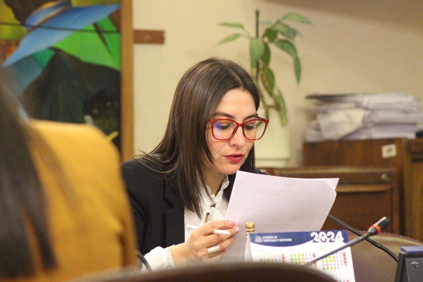 Diputada Nathalie Castillo