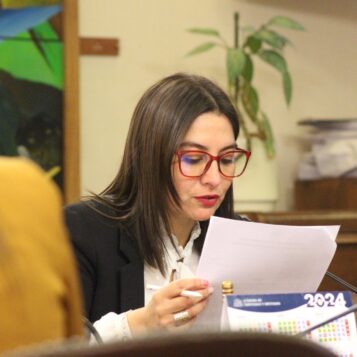 Diputada Nathalie Castillo