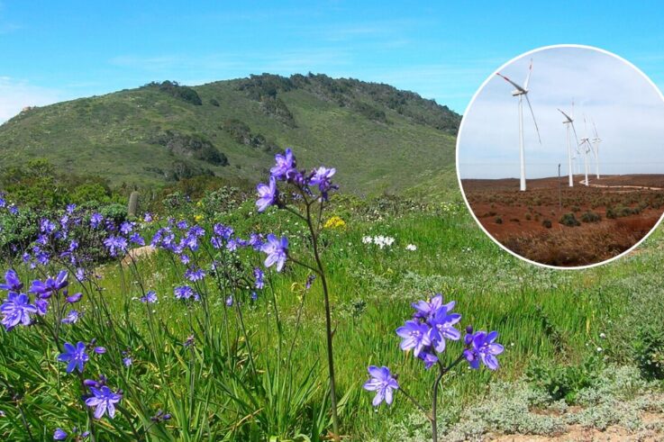 El Parque Eólico Carica amenaza la biodiversidad de Fray Jorge