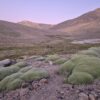Río Sasso en Limarí y su biodiversidad
