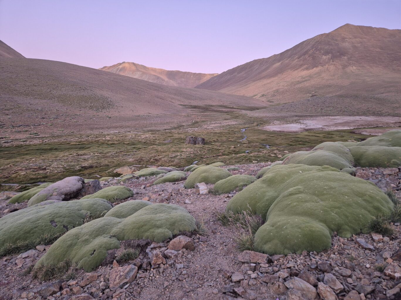 Río Sasso en Limarí y su biodiversidad
