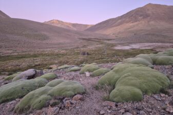 Río Sasso en Limarí y su biodiversidad