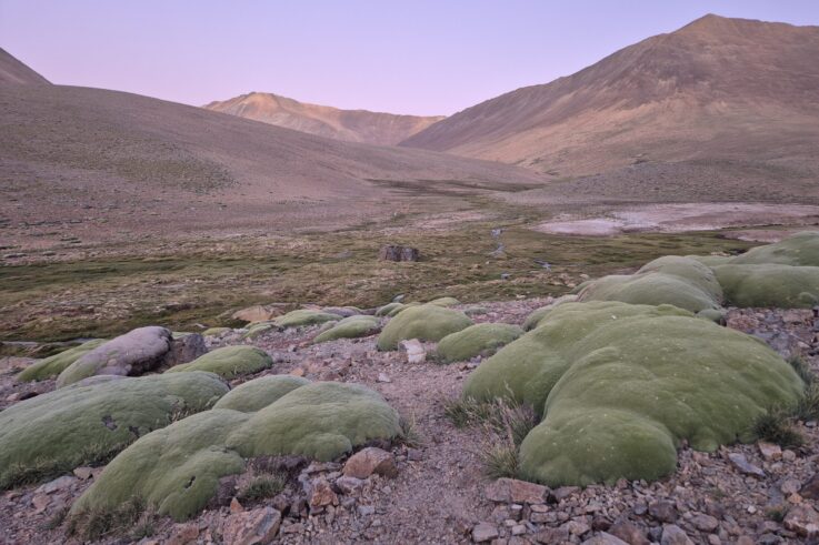 Río Sasso en Limarí y su biodiversidad