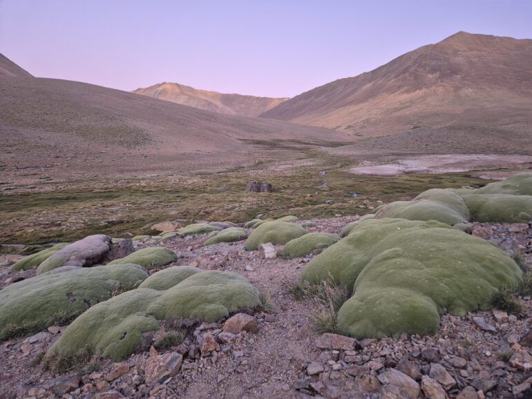 Río Sasso en Limarí y su biodiversidad