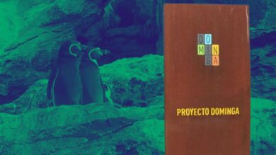 Minera Dominga y daño medioambiental