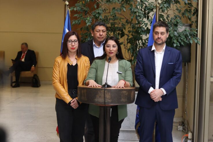 Diputada Castillo