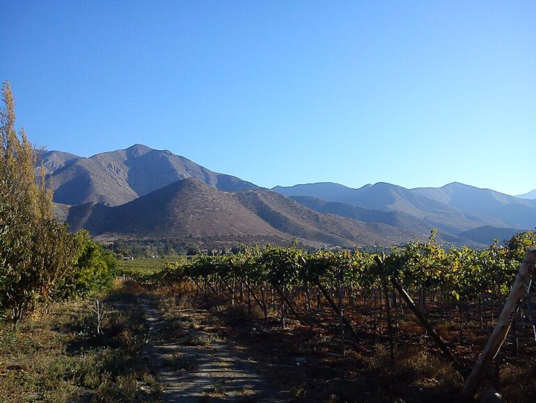 Monte Patria