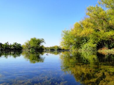 Río Limarí Sector Barraza