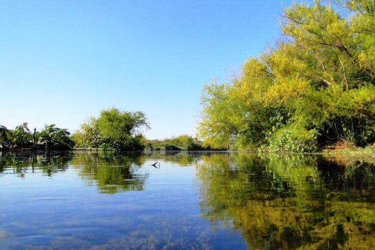 Río Limarí Sector Barraza