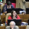 Diputada Castillo Ley Loteos Irregulares