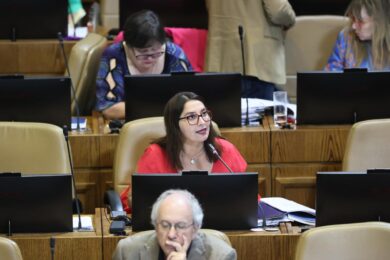 Diputada Castillo Ley Loteos Irregulares