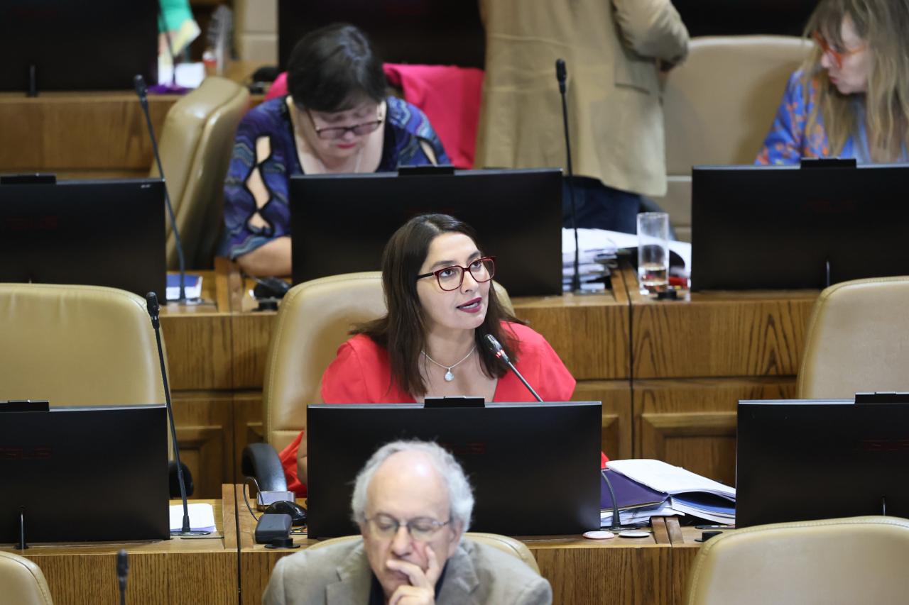 Diputada Castillo Ley Loteos Irregulares