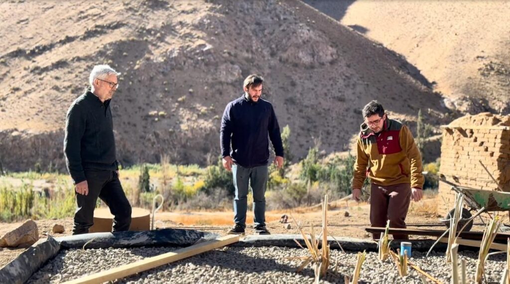 Humedales construidos