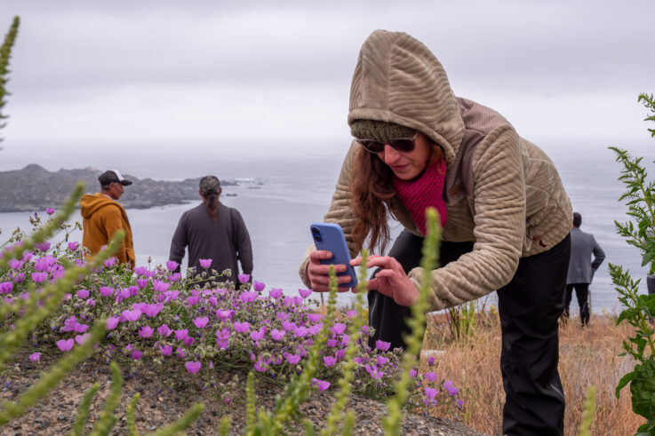 Archipiélago de Humboldt en 110 Palabras