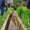 Canal Salinero Canela