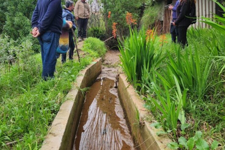 Canal Salinero Canela