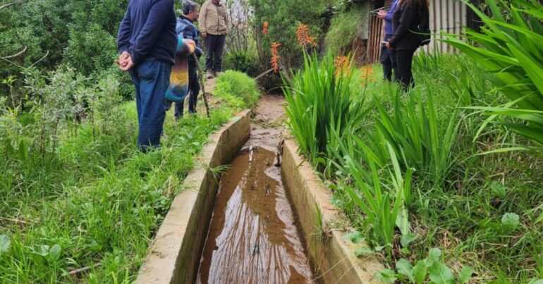 Canal Salinero Canela
