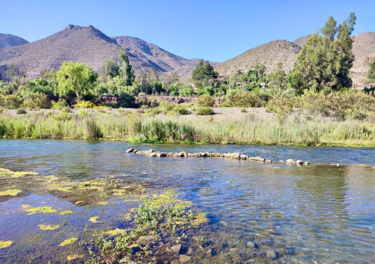 Microbiología Río Elqui Región de Coquimbo