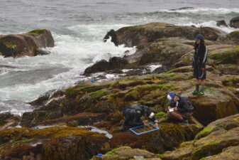 Las plantas desaladoras tienen un impacto en el medioambiente