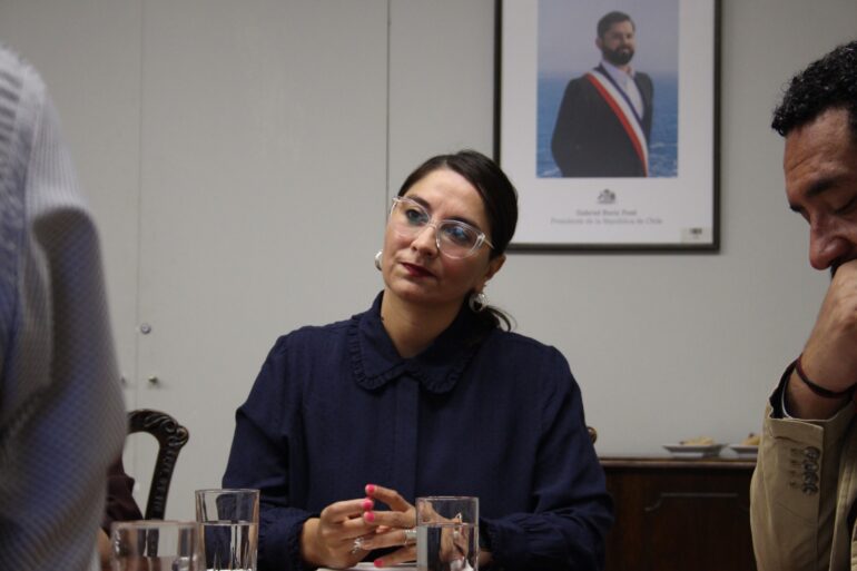 Diputada Nathalie Castillo