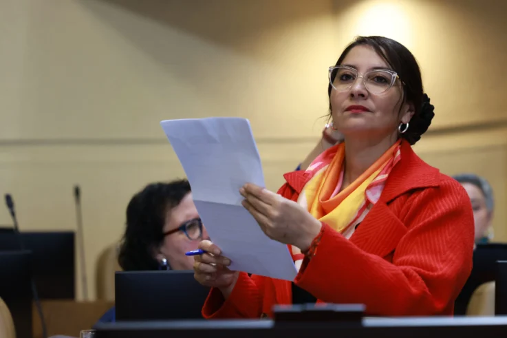 Nathalie Castillo Diputada Partido Comunista