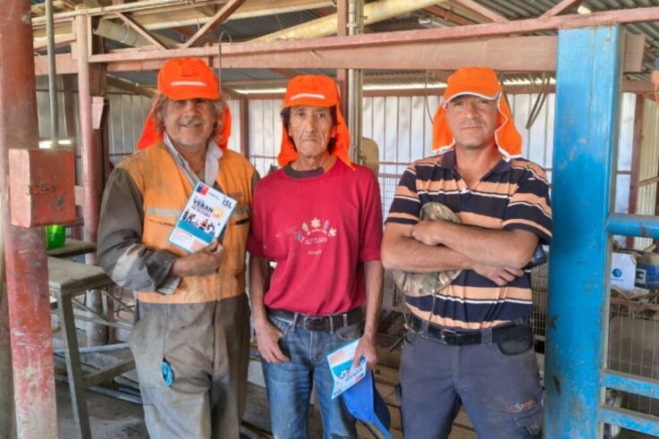 Instituto Seguridad Laboral Andacollo